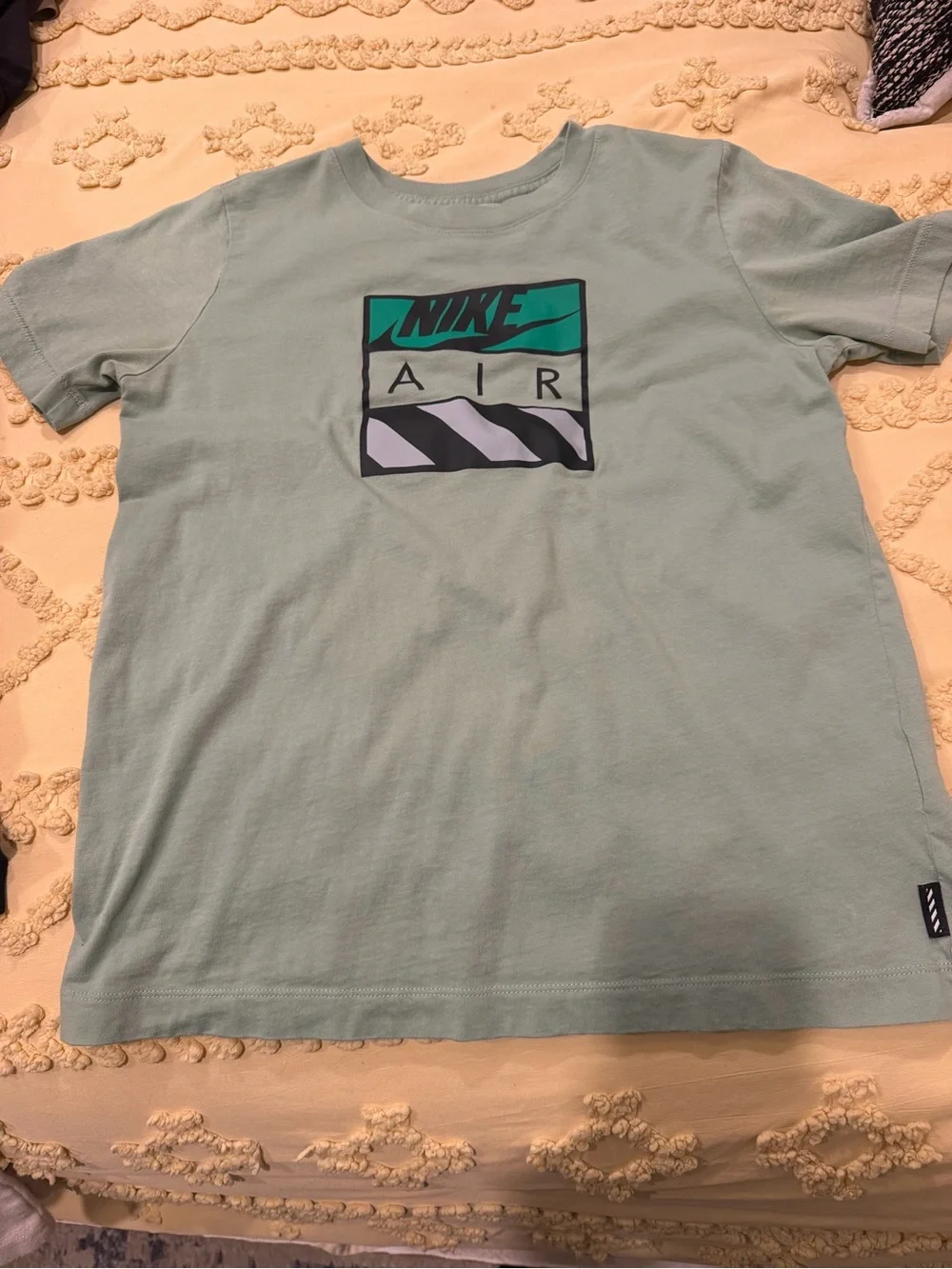 Nike The Nike Tee in Sage Green with Teal Accent
